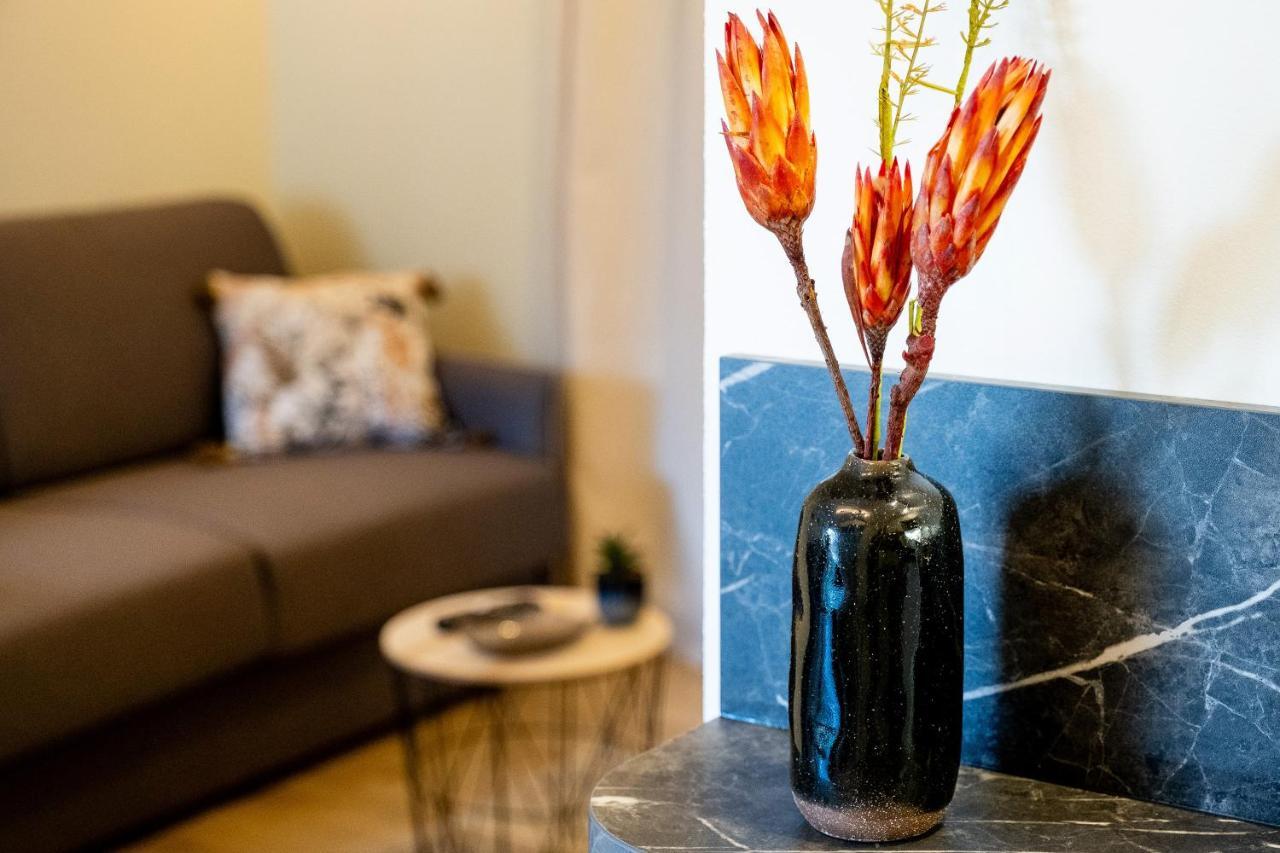Appart. T 1 Bis, Centre Ville, Entierement Renove Lourdes Eksteriør bilde